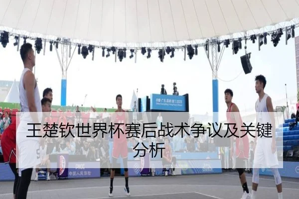 王楚钦世界杯赛后战术争议及关键分析
